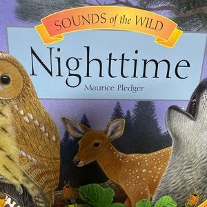 Kids books with sound 2 of them used in Avery good condition